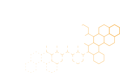 evolutive systems